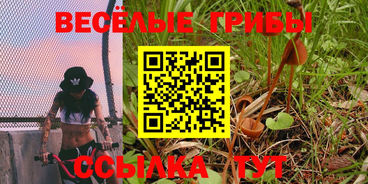 Псилоцибиновые грибы ЛСД Кирово-Чепецк