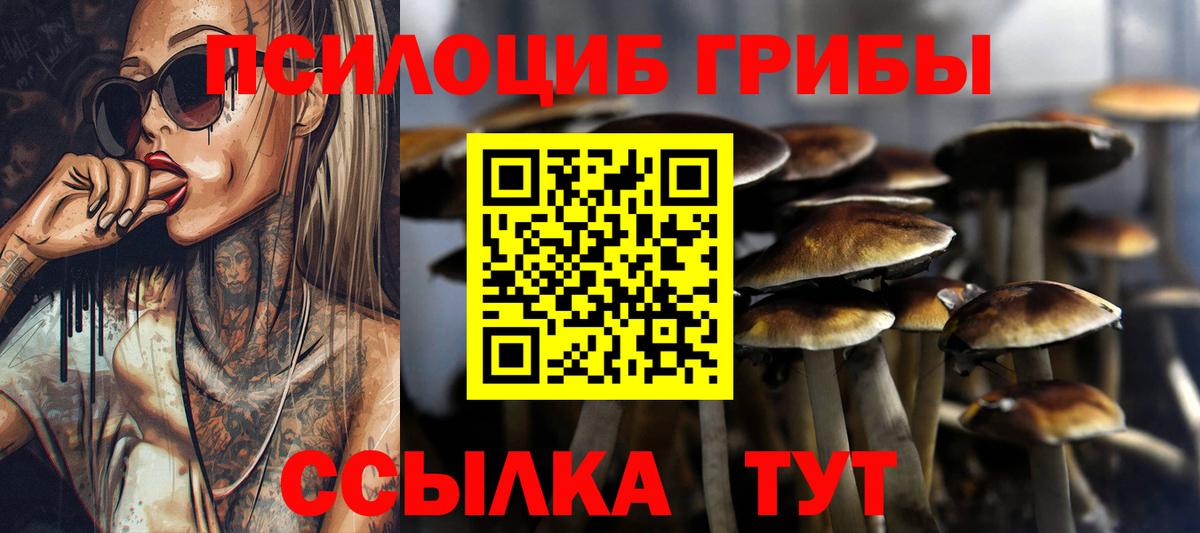 Кирово-Чепецк  Галлюциногенные грибы прущие грибы  Вход с VPN 